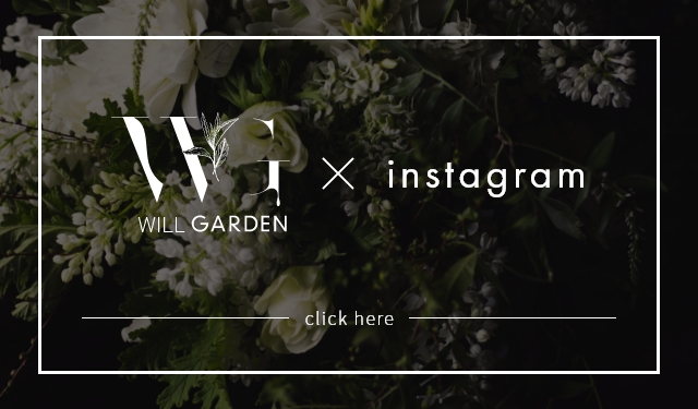 WILL GARDEN x instagram